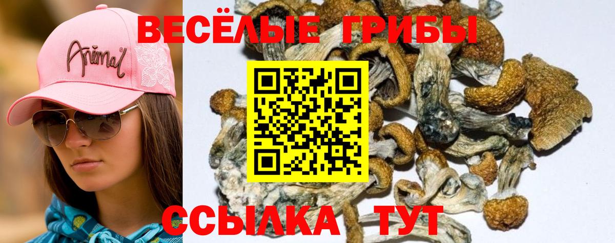 Псилоцибиновые грибы ЛСД Саранск