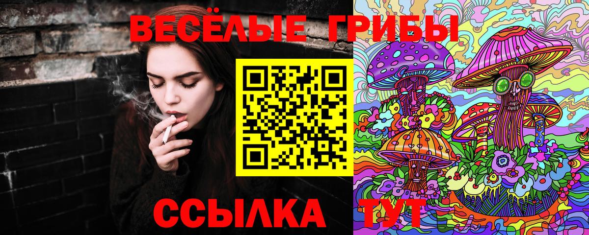 Саранск  Галлюциногенные грибы Magic Shrooms  Псилоцибиновые грибы Cubensis  Вход с VPN 